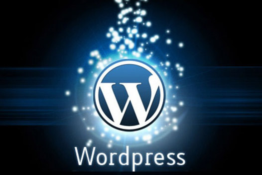 WordPress清理数据库冗余数据加速网站运行速度-云轻博客